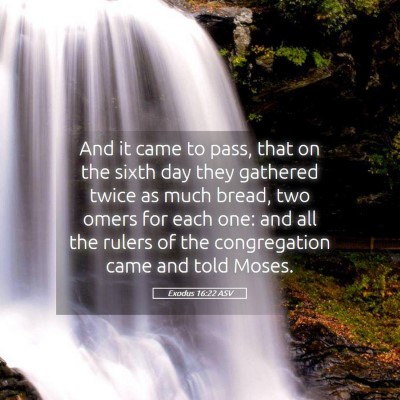 Picture 05 - Exodus 16:22 ASV - And it came to pass, that on the sixth day they - Bible Verse Picture