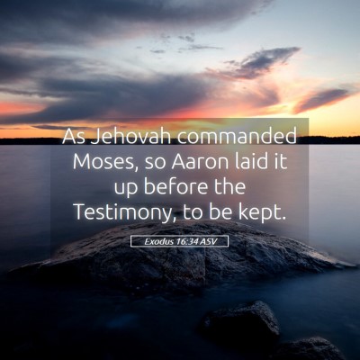 Picture 05 - Exodus 16:34 ASV - As Jehovah commanded Moses, so Aaron laid it up - Bible Verse Picture