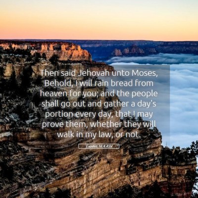 Picture 05 - Exodus 16:4 ASV - Then said Jehovah unto Moses, Behold, I will rain - Bible Verse Picture