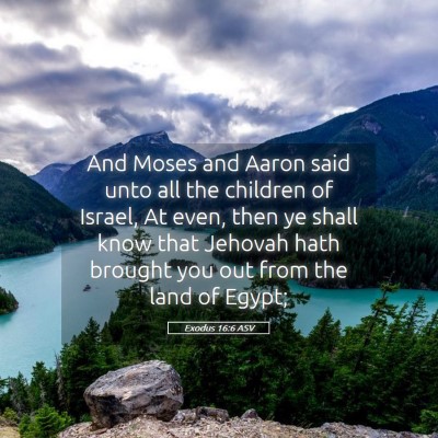 Picture 05 - Exodus 16:6 ASV - And Moses and Aaron said unto all the children of - Bible Verse Picture