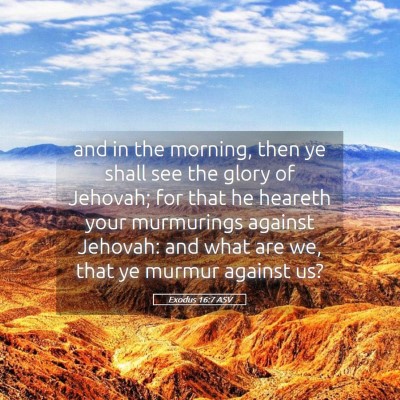 Picture 05 - Exodus 16:7 ASV - and in the morning, then ye shall see the glory - Bible Verse Picture