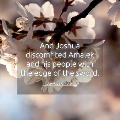 Picture 05 - Exodus 17:13 ASV - And Joshua discomfited Amalek and his people with - Bible Verse Picture