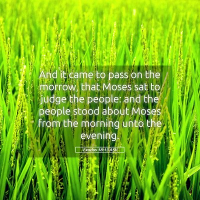Picture 05 - Exodus 18:13 ASV - And it came to pass on the morrow, that Moses sat - Bible Verse Picture