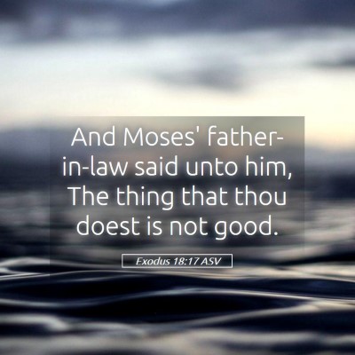 Picture 05 - Exodus 18:17 ASV - And Moses' father-in-law said unto him, The thing - Bible Verse Picture