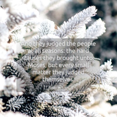 Picture 05 - Exodus 18:26 ASV - And they judged the people at all seasons: the - Bible Verse Picture