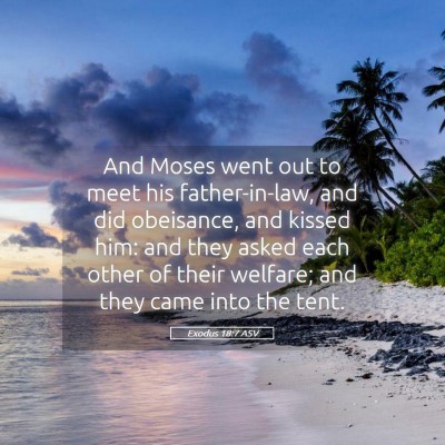 Picture 05 - Exodus 18:7 ASV - And Moses went out to meet his father-in-law, and - Bible Verse Picture