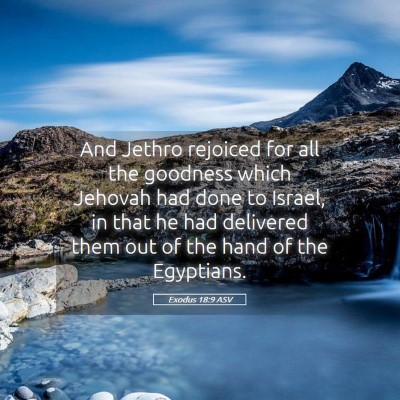 Picture 05 - Exodus 18:9 ASV - And Jethro rejoiced for all the goodness which - Bible Verse Picture