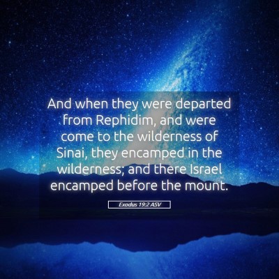 Picture 05 - Exodus 19:2 ASV - And when they were departed from Rephidim, and - Bible Verse Picture