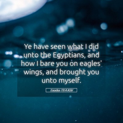 Picture 05 - Exodus 19:4 ASV - Ye have seen what I did unto the Egyptians, and - Bible Verse Picture