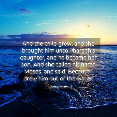 Picture 05 - Exodus 2:10 ASV - And the child grew, and she brought him unto - Bible Verse Picture