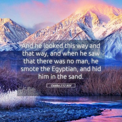 Picture 05 - Exodus 2:12 ASV - And he looked this way and that way, and when he - Bible Verse Picture