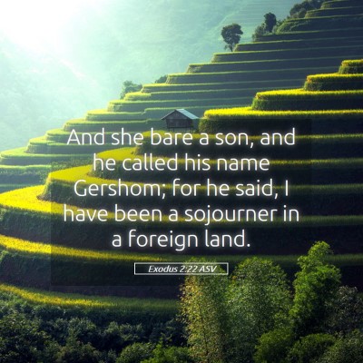 Picture 05 - Exodus 2:22 ASV - And she bare a son, and he called his name - Bible Verse Picture
