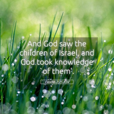 Picture 05 - Exodus 2:25 ASV - And God saw the children of Israel, and God took - Bible Verse Picture