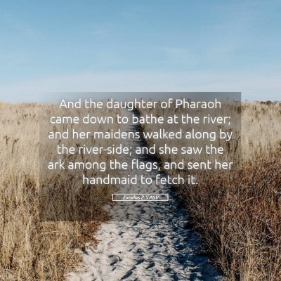 Picture 05 - Exodus 2:5 ASV - And the daughter of Pharaoh came down to bathe at - Bible Verse Picture