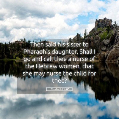 Picture 05 - Exodus 2:7 ASV - Then said his sister to Pharaoh's daughter, Shall - Bible Verse Picture
