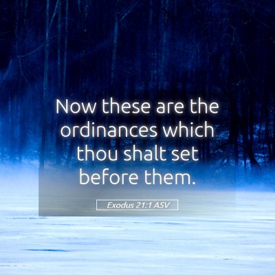 Picture 05 - Exodus 21:1 ASV - Now these are the ordinances which thou shalt set - Bible Verse Picture