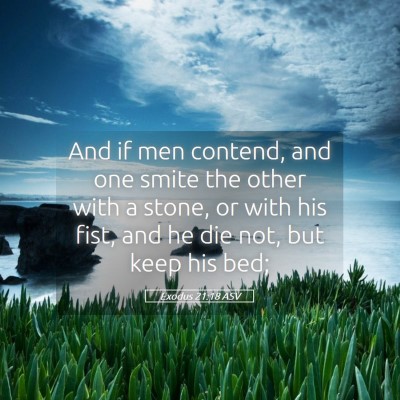 Picture 05 - Exodus 21:18 ASV - And if men contend, and one smite the other with - Bible Verse Picture
