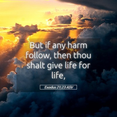 Picture 05 - Exodus 21:23 ASV - But if any harm follow, then thou shalt give life - Bible Verse Picture