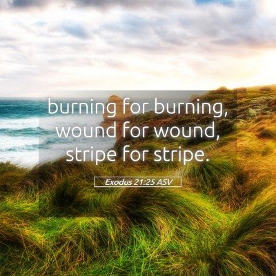 Picture 05 - Exodus 21:25 ASV - burning for burning, wound for wound, stripe for - Bible Verse Picture