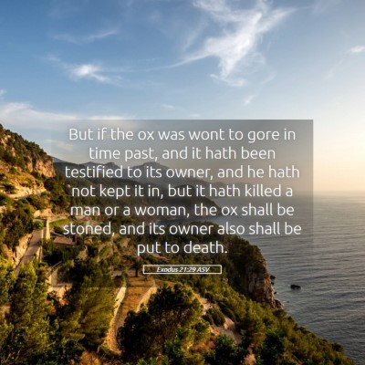 Picture 05 - Exodus 21:29 ASV - But if the ox was wont to gore in time past, and - Bible Verse Picture