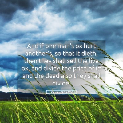 Picture 05 - Exodus 21:35 ASV - And if one man's ox hurt another's, so that it - Bible Verse Picture