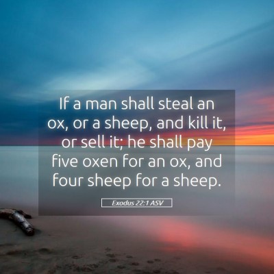 Picture 05 - Exodus 22:1 ASV - If a man shall steal an ox, or a sheep, and kill - Bible Verse Picture