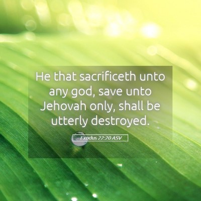 Picture 05 - Exodus 22:20 ASV - He that sacrificeth unto any god, save unto - Bible Verse Picture