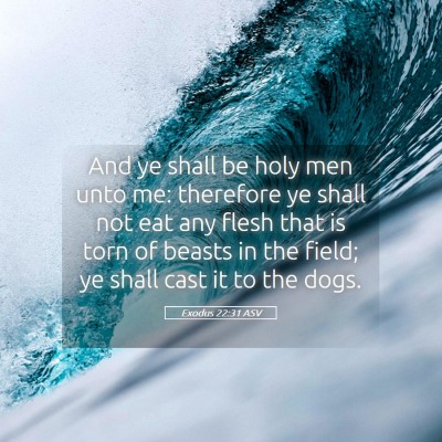 Picture 05 - Exodus 22:31 ASV - And ye shall be holy men unto me: therefore ye - Bible Verse Picture