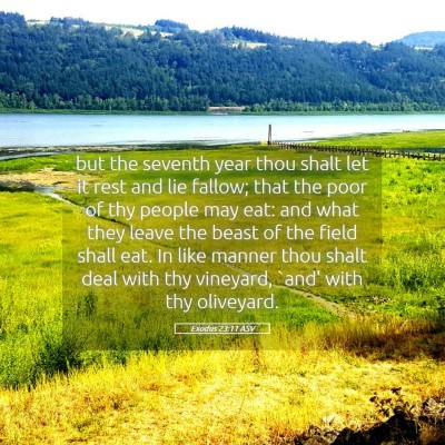 Picture 05 - Exodus 23:11 ASV - but the seventh year thou shalt let it rest and - Bible Verse Picture