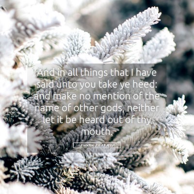 Picture 05 - Exodus 23:13 ASV - And in all things that I have said unto you take - Bible Verse Picture