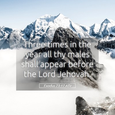 Picture 05 - Exodus 23:17 ASV - Three times in the year all thy males shall - Bible Verse Picture