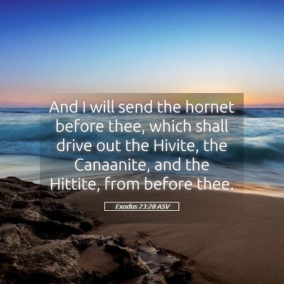Picture 05 - Exodus 23:28 ASV - And I will send the hornet before thee, which - Bible Verse Picture