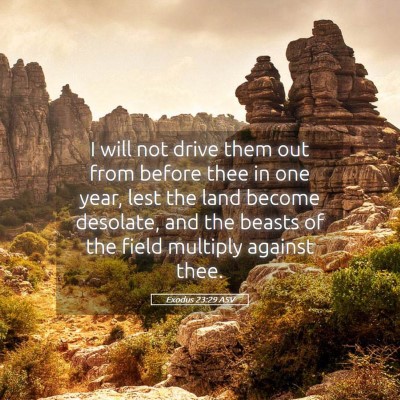 Picture 05 - Exodus 23:29 ASV - I will not drive them out from before thee in one - Bible Verse Picture
