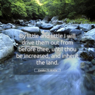 Picture 05 - Exodus 23:30 ASV - By little and little I will drive them out from - Bible Verse Picture