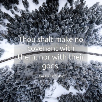 Picture 05 - Exodus 23:32 ASV - Thou shalt make no covenant with them, nor with - Bible Verse Picture