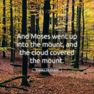 Picture 05 - Exodus 24:15 ASV - And Moses went up into the mount, and the cloud - Bible Verse Picture
