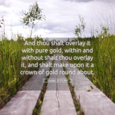 Picture 05 - Exodus 25:11 ASV - And thou shalt overlay it with pure gold, within - Bible Verse Picture