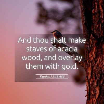 Picture 05 - Exodus 25:13 ASV - And thou shalt make staves of acacia wood, and - Bible Verse Picture