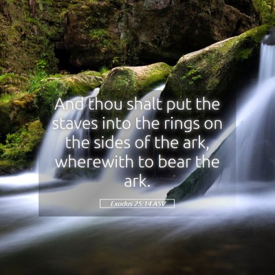 Picture 05 - Exodus 25:14 ASV - And thou shalt put the staves into the rings on - Bible Verse Picture