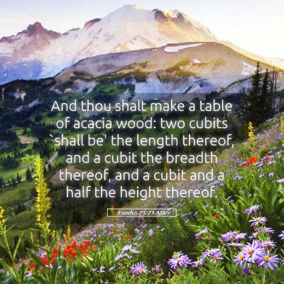 Picture 05 - Exodus 25:23 ASV - And thou shalt make a table of acacia wood: two - Bible Verse Picture