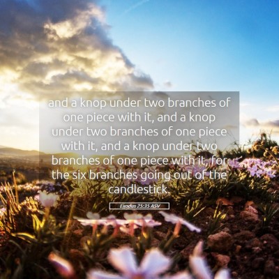Picture 05 - Exodus 25:35 ASV - and a knop under two branches of one piece with - Bible Verse Picture