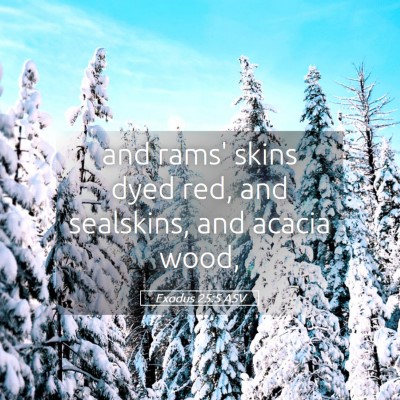 Picture 05 - Exodus 25:5 ASV - and rams' skins dyed red, and sealskins, and - Bible Verse Picture