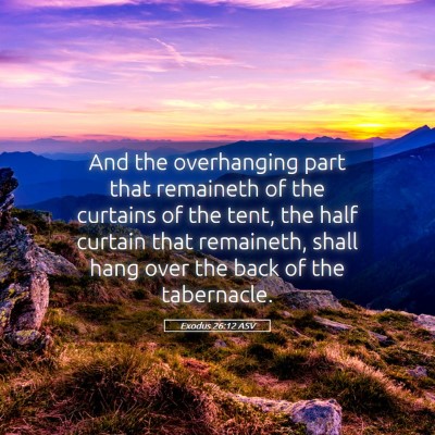 Picture 05 - Exodus 26:12 ASV - And the overhanging part that remaineth of the - Bible Verse Picture