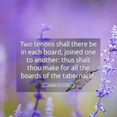 Picture 05 - Exodus 26:17 ASV - Two tenons shall there be in each board, joined - Bible Verse Picture