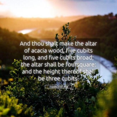 Picture 05 - Exodus 27:1 ASV - And thou shalt make the altar of acacia wood, - Bible Verse Picture