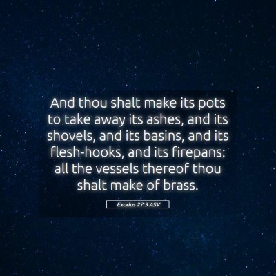 Picture 05 - Exodus 27:3 ASV - And thou shalt make its pots to take away its - Bible Verse Picture