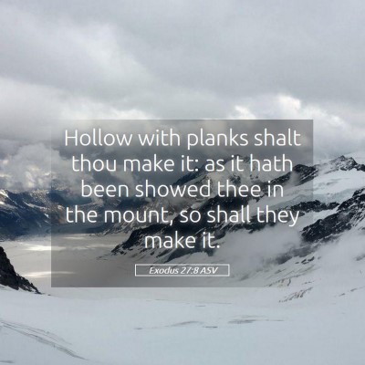 Picture 05 - Exodus 27:8 ASV - Hollow with planks shalt thou make it: as it hath - Bible Verse Picture
