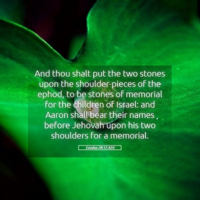 Picture 05 - Exodus 28:12 ASV - And thou shalt put the two stones upon the - Bible Verse Picture