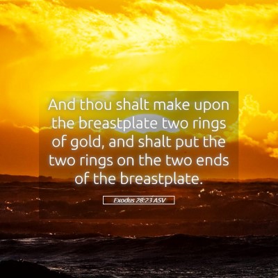 Picture 05 - Exodus 28:23 ASV - And thou shalt make upon the breastplate two - Bible Verse Picture