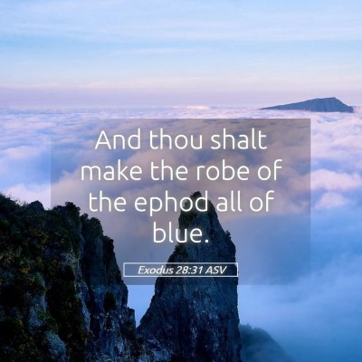 Picture 05 - Exodus 28:31 ASV - And thou shalt make the robe of the ephod all of - Bible Verse Picture